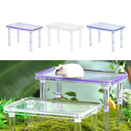 Small animals hamster with - small,