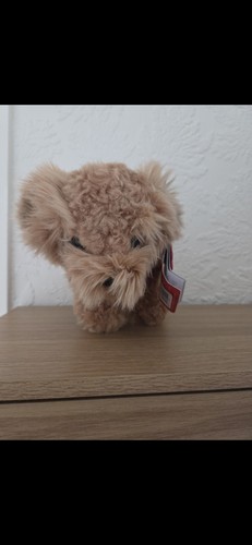 Keel toys signature cuddle - keel,