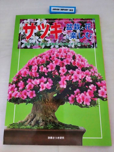 Satsuki enjoy bonsai - satsuki, and