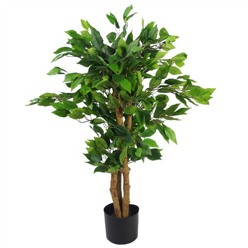 Artificial evergreen ficus - artificial,