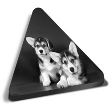 Triangle MDF Magnets - BW -