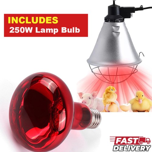 Infra red heat lamp - infra,
