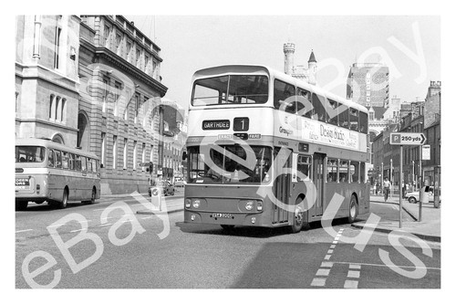 Bus photograph grampian xsa - photograph,