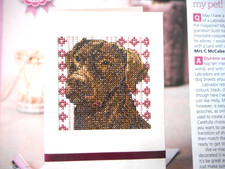 A PORTRAIT OF A CHOCOLATE