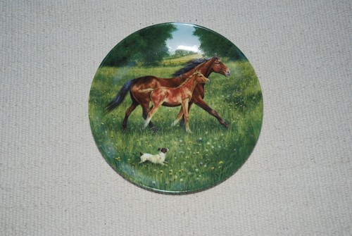 First outing horse royal - 'first,