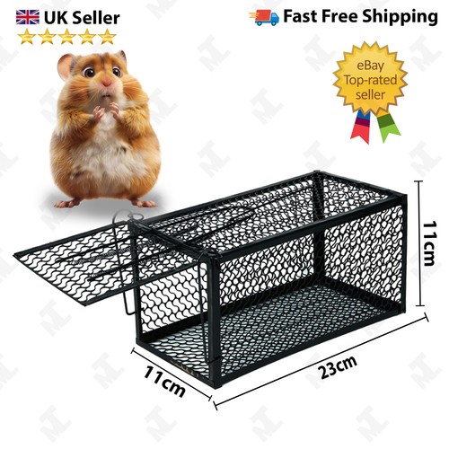 Rat trap bait - live, humane