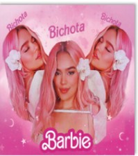 Karol G Blanket, Barbie