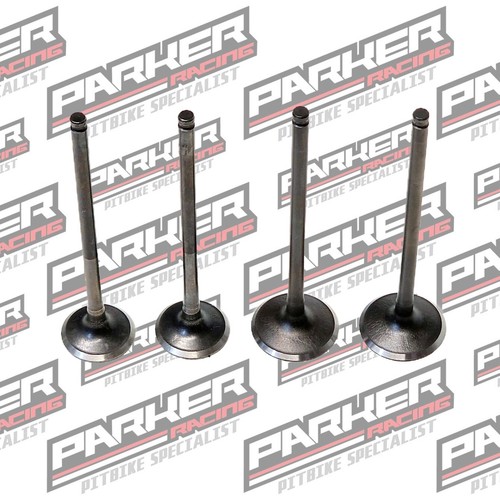 Daytona valve set - daytona,