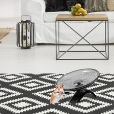 Chinchilla wheel hedgehog - chinchilla,