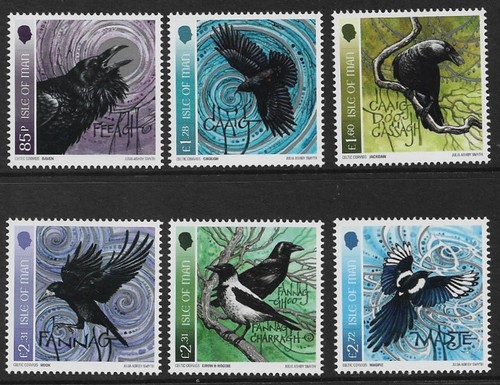 Birds corvids nature isle of - nature,