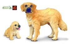Golden Labrador Retriever and