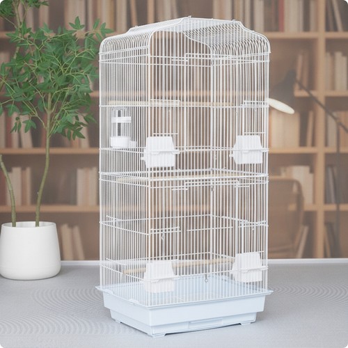 Metal bird cage - bird,