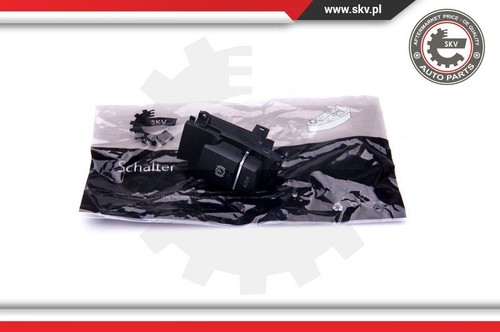 Esen skv 96skv067 switch - switch,, park