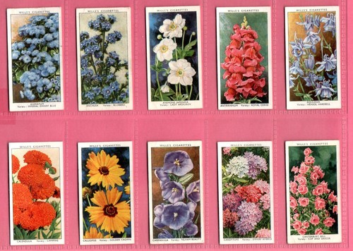 Wills garden flowers - wills:, by