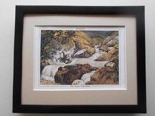 Norman thelwell fishing print - thelwell,