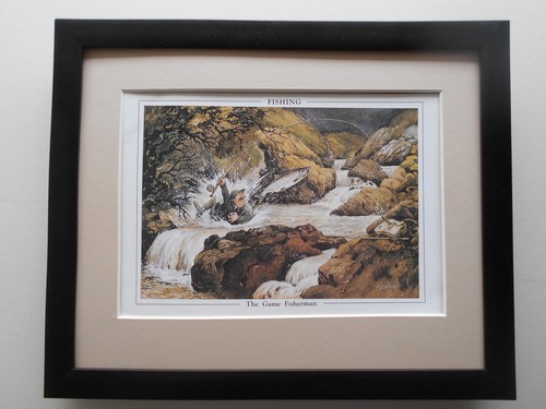 Norman thelwell fishing print - thelwell,