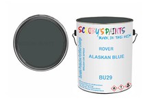 Classic Paint For Wolseley