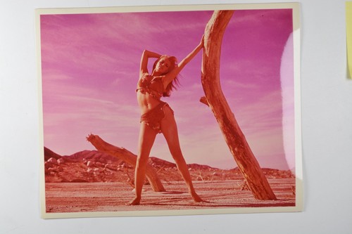 Raquel welch fur bikini - welch,
