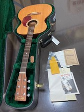 acoustic guitar martin