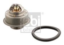 Thermostat, coolant for