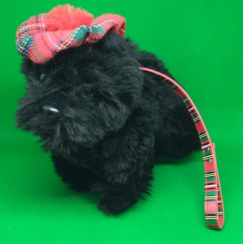 Rare posh paws - paws, black