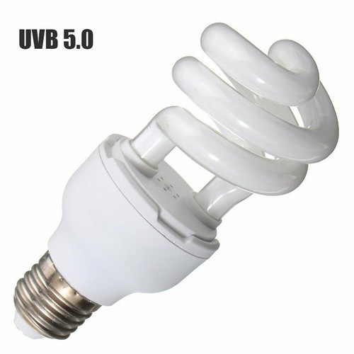 13w pet screw - screw, bulb