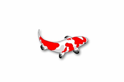 Sticker vinyl koi carp japan - sticker,
