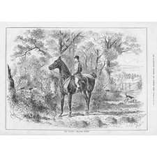 Victorian Cub Hunting -