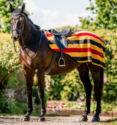 Horseware newmarket exercise - horseware,