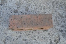 special bricks - single bullnose in old english and royal brindle
