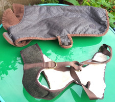 WAINWRIGHTS BRAND NEW DOG