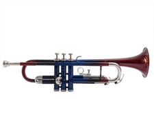 TRUMPET NEW  BROWN BLUE