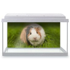 Fish Tank Background 90x45cm -