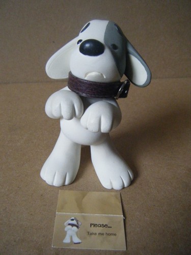 Lost dog please 19072 craig - lost,