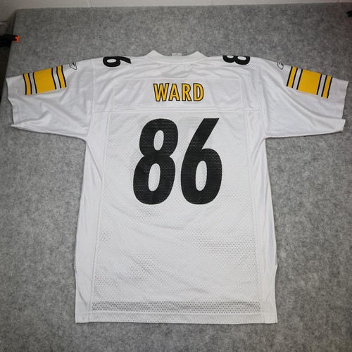 Pittsburgh steelers football - pittsburgh,