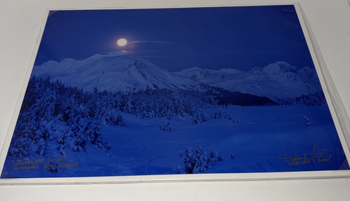 Alaska wildlife images - alaska,
