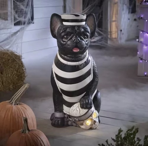 French bulldog halloween dog - french,