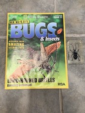 Long Horned Beetle BUGS Issue