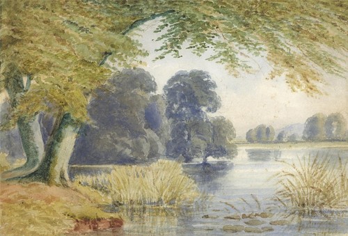 River rural landscape - in,