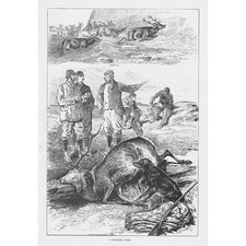 DEER HUNTING A Successful