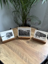 Original WWII RAF Photo Group