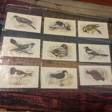 Vintage 1970s GRANDEE “British Birds Collection” Cigarette Cards 