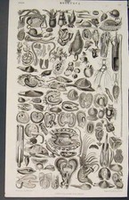 Original Old Antique Print