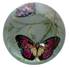 Vintage Dome Glass Paperweight