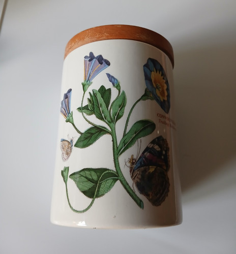 Portmeirion botanic garden - portmeirion,