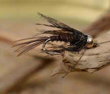 1 Doz BH Pheasant Tail Nymph Flies - Soft Hackle - Fly Fishing on Mustad Hooks