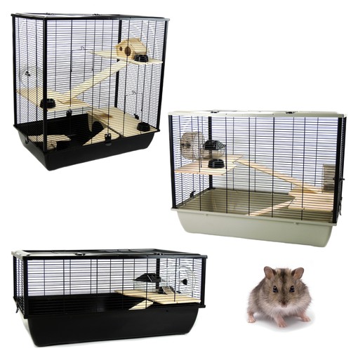 Rat syrian hamster cages pets - rat,