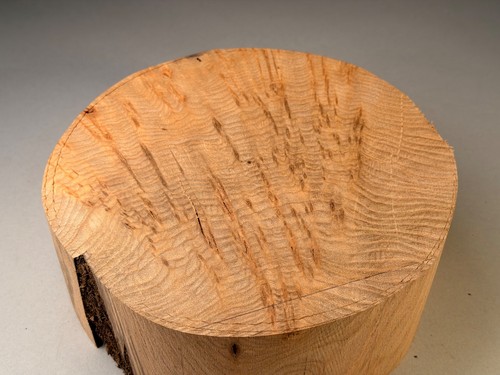 Burr elm wood turning - wood,