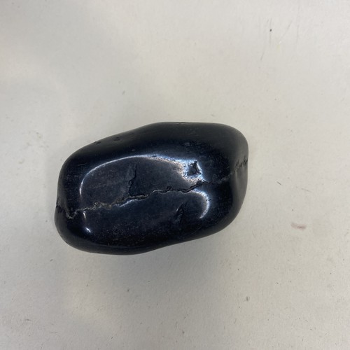 Large smooth black river palm - large,