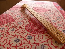 Strat Guitar Neck  New with